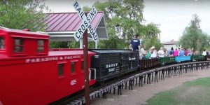 McCormick-Stillman Railroad Park train